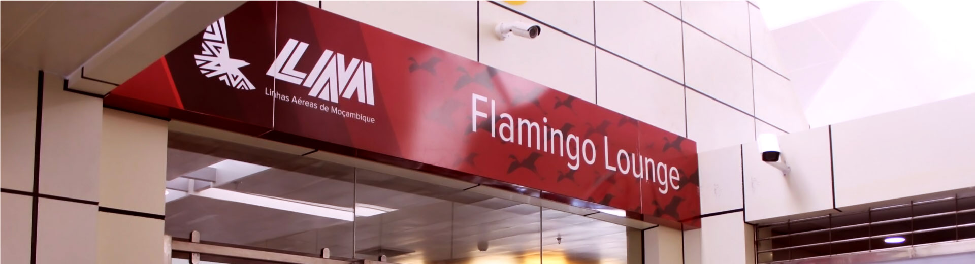 29c963ade985-Flamingo-Lounge.jpg